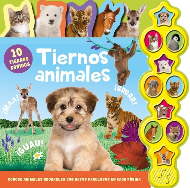 TIERNOS ANIMALES  10 TIERNOS SONIDOS..