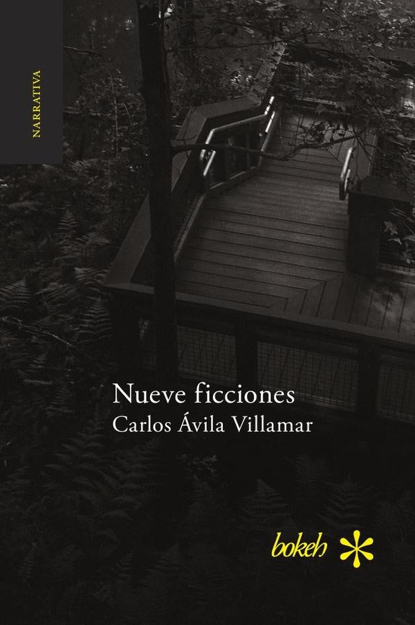Nueve ficciones | Carlos Ávila Vilamar