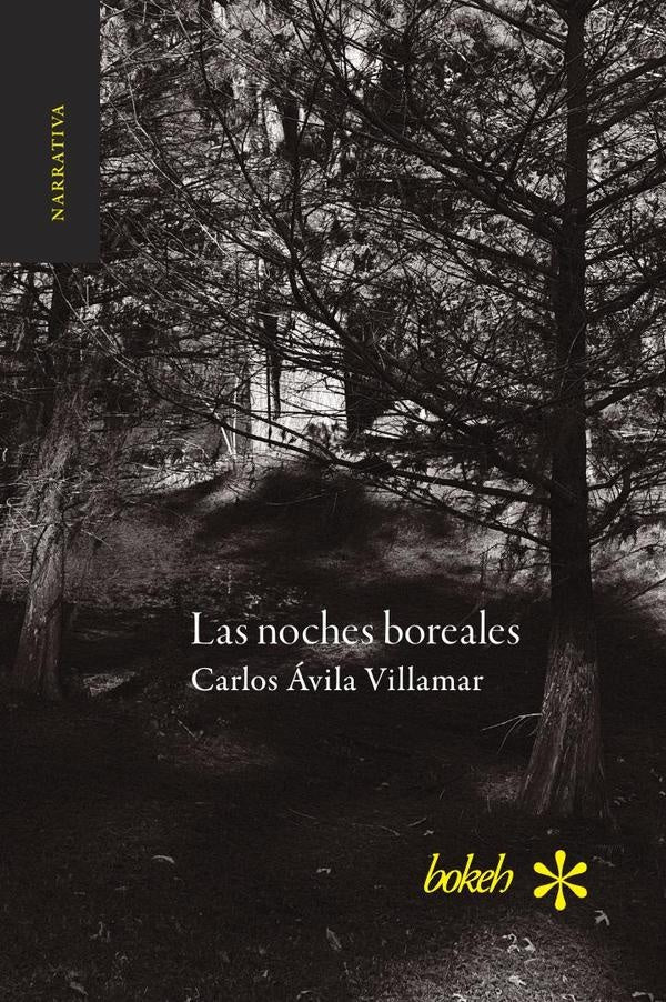 Las noches boreales | Carlos Ávila Vilamar