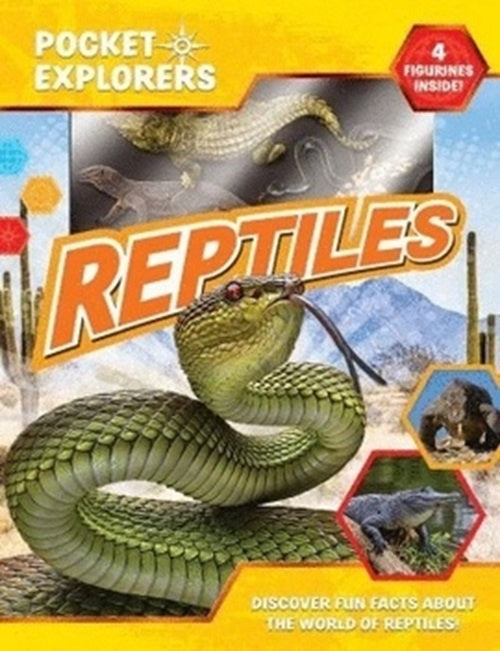 PEQUEÑOS EXPLORADORES REPTILES*