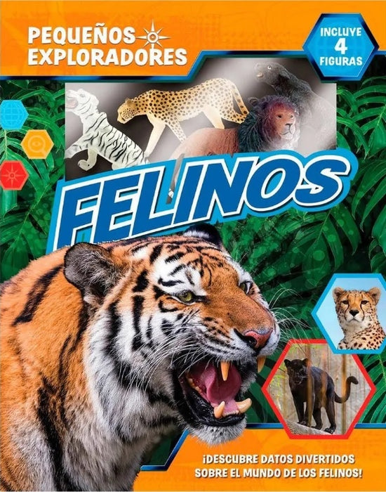 PEQUEÑOS EXPLORADORES - FELINOS..