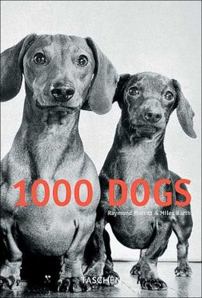 1000 Dogs (Klotz) | Merritt, Barth