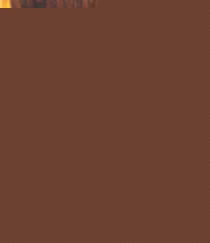 Living in Mexico | Barbara  Stoeltie