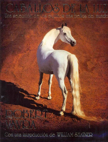 Caballos de La Luz | Robert Vavra