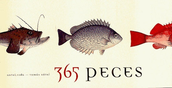 365 Peces (Spanish Edition) | Kotai, Vida