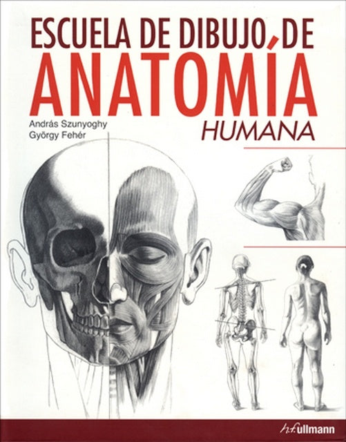 escuela de dibujo de anatomía hmana