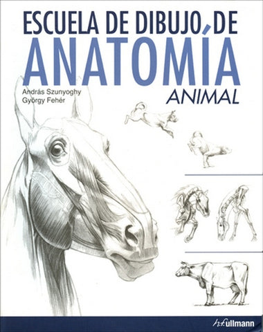 Escuela de dibujo anatomia animal*