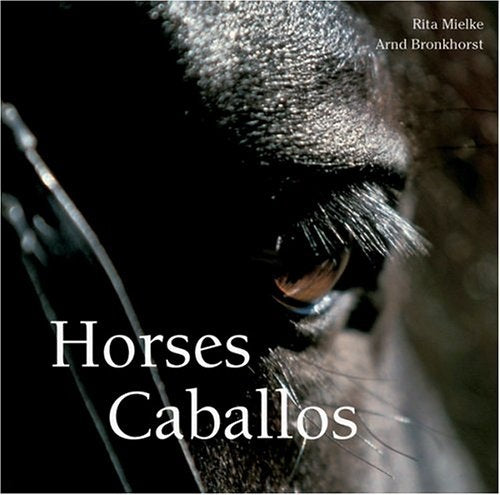 Horses - Caballos