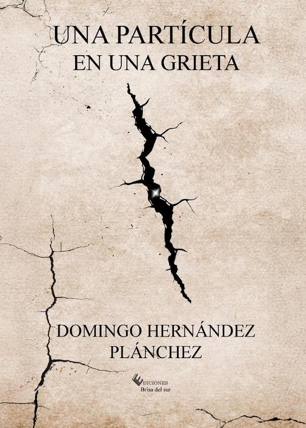 Una partícula en una grieta | Domingo Hernández  Plánchez