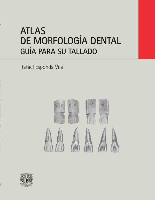 Atlas de morfología dental. Guía para su tallado | Rafael Esponda Vila