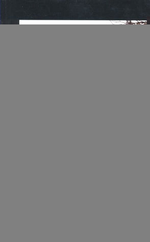 El año del Saeko |  kyoichi katayama