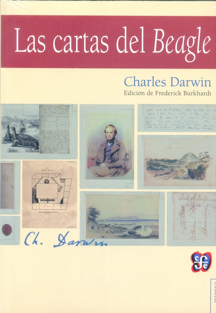 CARTAS DEL BEAGLE, LAS | Charles R. Darwin