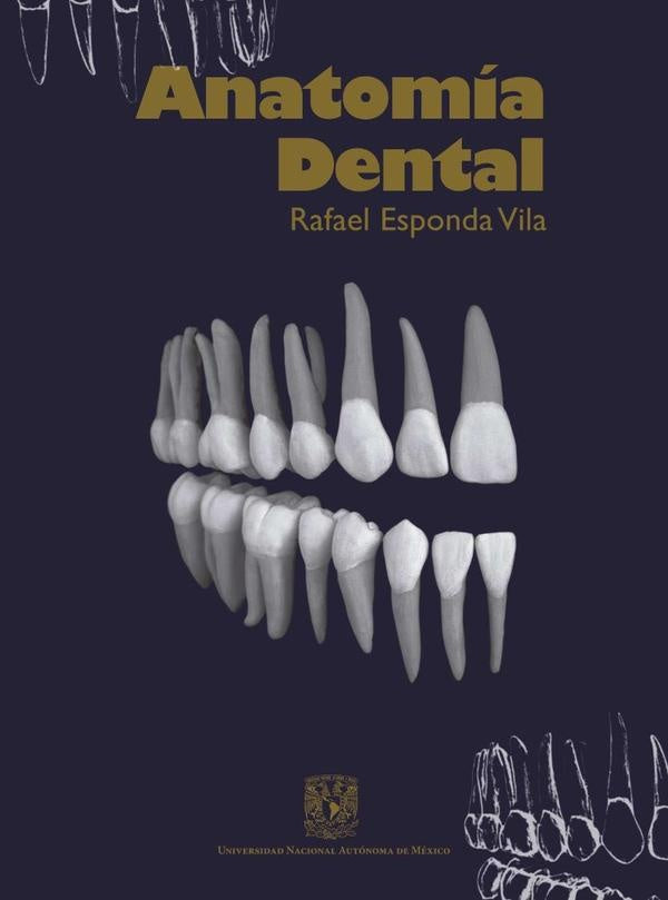 Anatomía dental | Rafael Esponda Vila