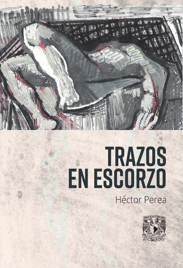 Trazos en escorzo | Héctor Perea
