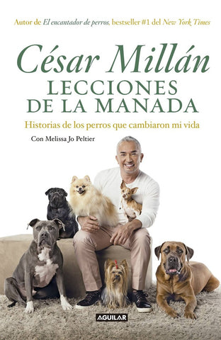 CESAR MILLAN - LECCIONES DE LA MANADA.. | César Millán