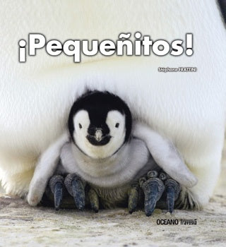 ¡PEQUEÑITOS! | STEPHANE FRATTINI