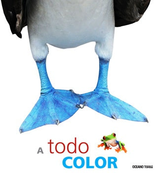 A TODO COLOR (CON DETALLES).. | AA.VV.