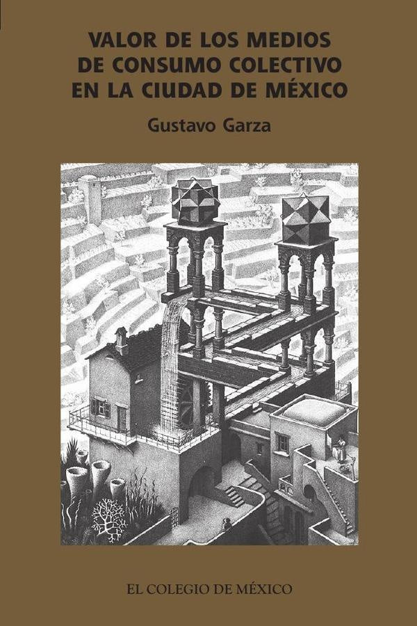 Valor de los medios de consumo colectivo en la ciudad de México | Gustavo Garza