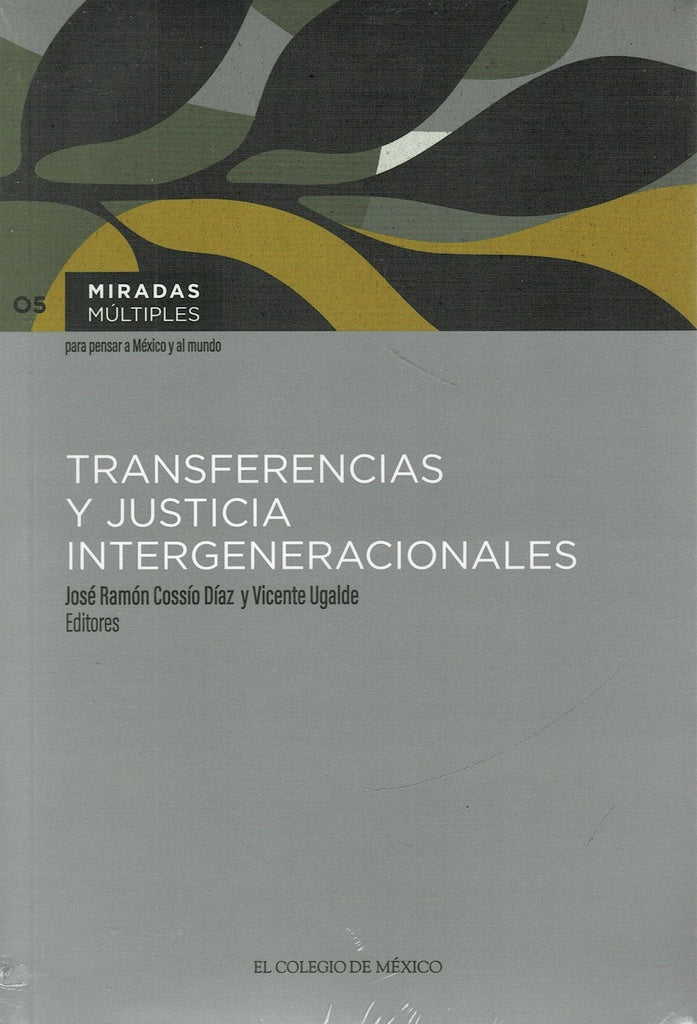 Transferencias y justicia intergeneracionales | Vicente Ugalde