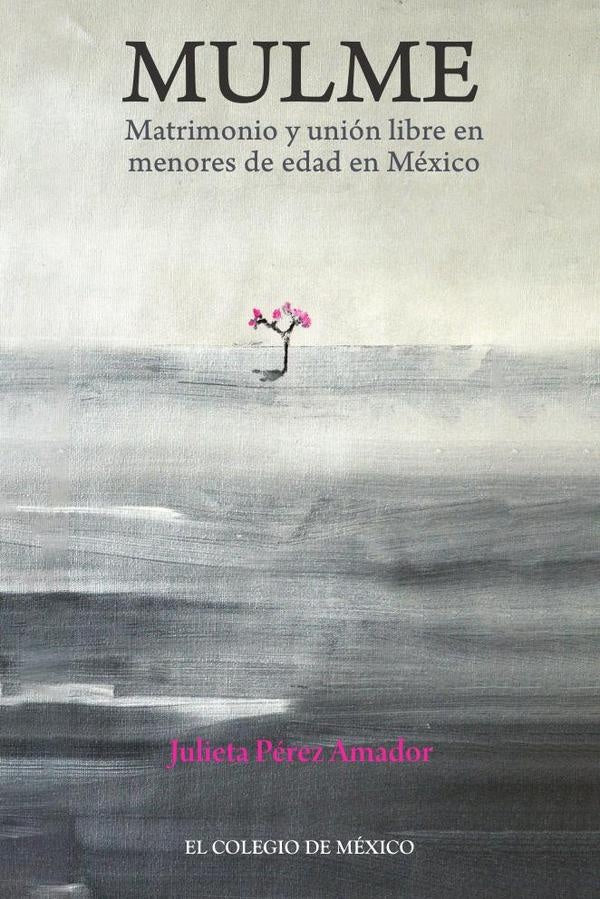 Mulme.  | Julieta  Pérez Amador