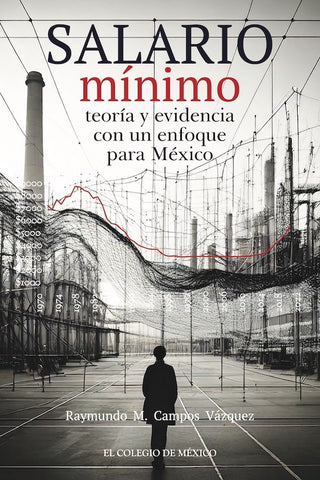 Salario mínimo:  | Raymundo M.  Campos Vázquez