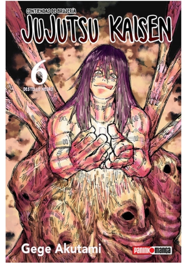 JUJUTSU KAISEN 6 | Gege Akutami