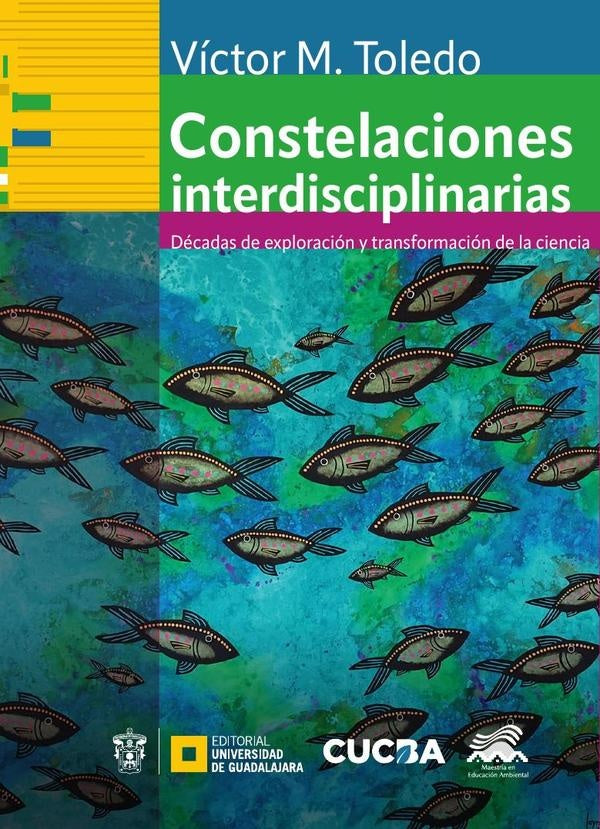 Constelaciones interdisciplinarias | Reyes Ruiz, Toledo y otros