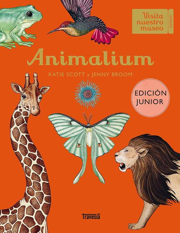 ANIMALIUM EDICION JUNIOR.. | KATIE SCOTT