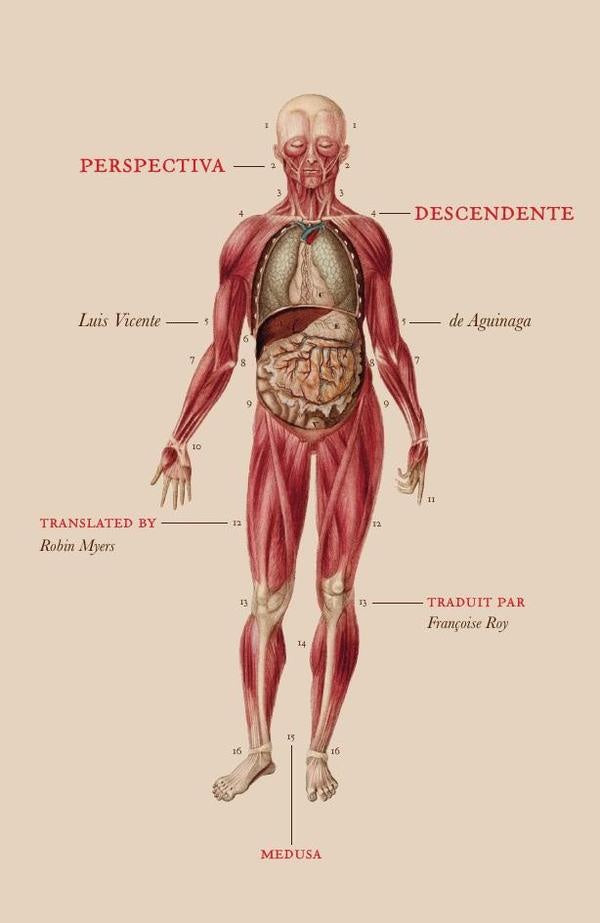 Perspectiva descendente | de Aguinaga, Roy y otros
