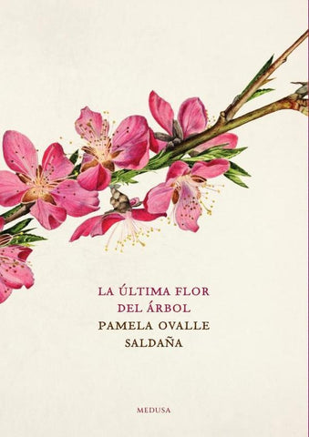 La última flor del árbol | Pamela Ovalle Saldaña