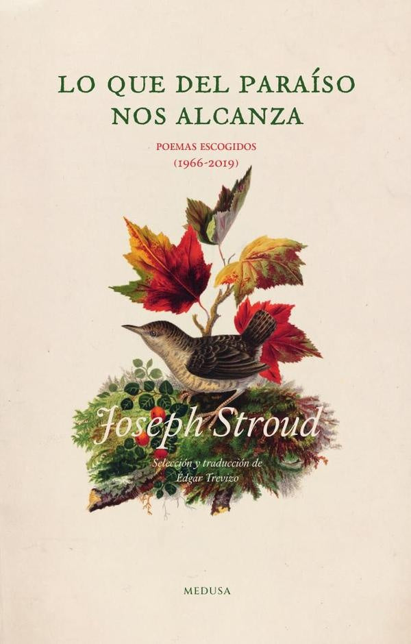 Lo que del paraíso nos alcanza | Trevizo, Stroud