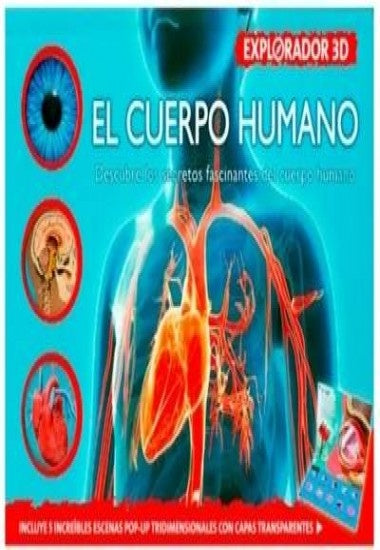 Explorador 3D cuerpo humano  | sin autor