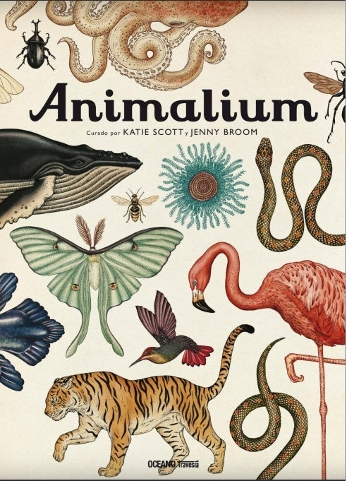 ANIMALIUM (CON DETALLES).. | KATIE  SCOTT