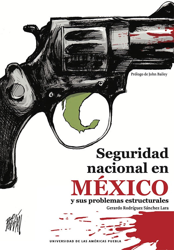 Seguridad nacional en México y sus problemas estructurales | Bailey, Rodríguez