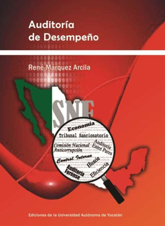 Auditoría de desempeño | René Márquez Arcila