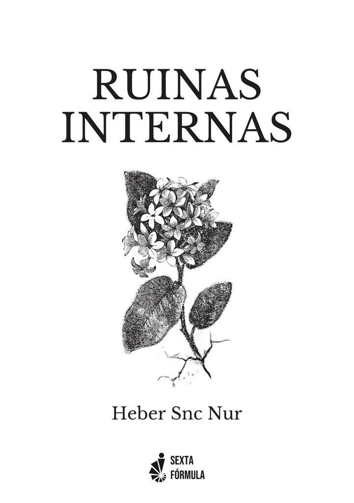 Ruinas Internas | Heber  Snc Nur