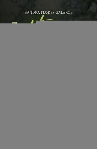Andanzas | Sandra Flores Galarce