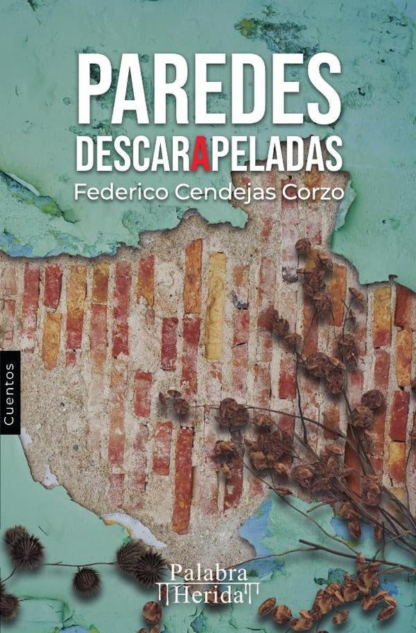 Paredes descarapeladas | Federico Cendejas Corzo