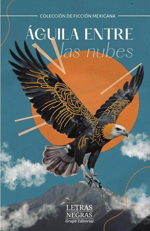 Águila entre las nubes | HUGO  RODRÍGUEZ