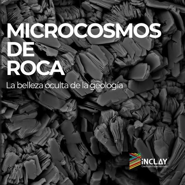 Microcosmos de roca | Germán Bonilla