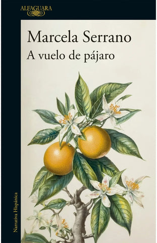 A VUELO DE PAJARO.. | Marcela Serrano