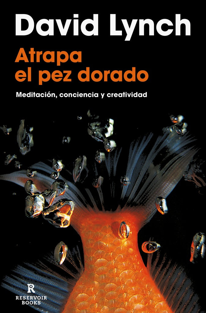ATRAPA EL PEZ DORADO.. | David Lynch