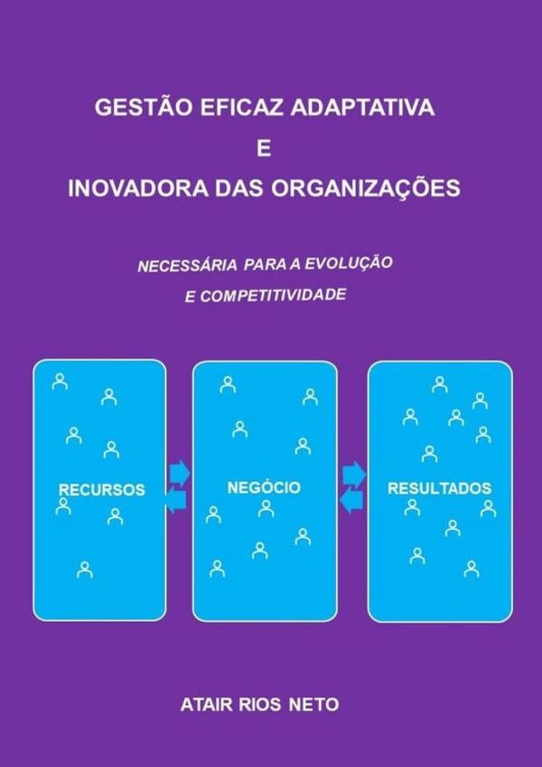 Gestão Eficaz Adaptativa  E Inovadora Das Organizações | Rios Neto, Rios Neto