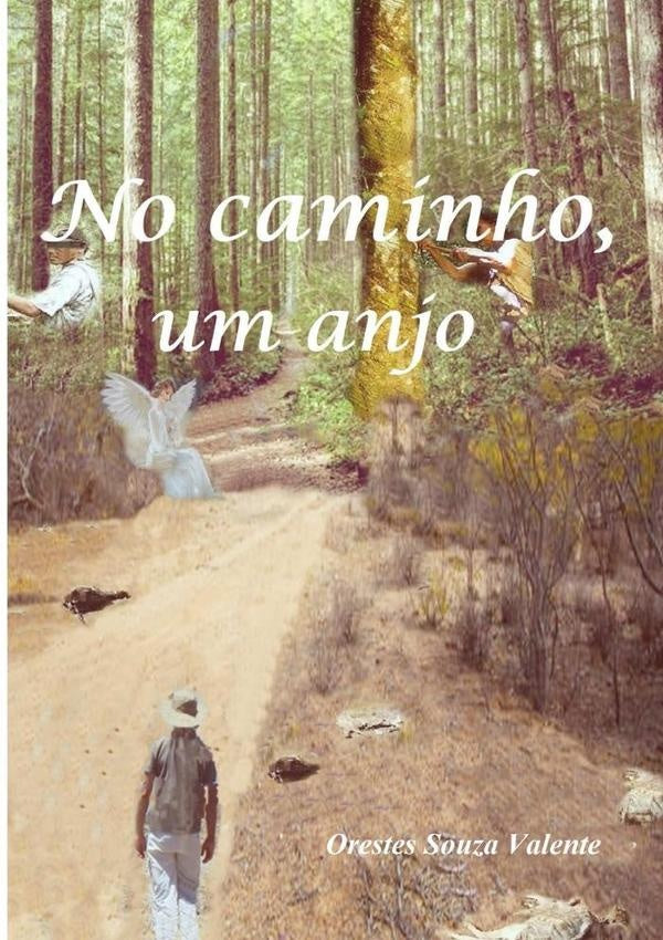 No Caminho, Um Anjo | Orestes Souza Valente