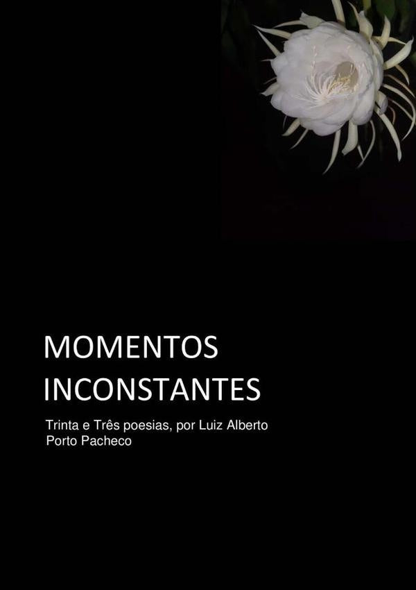 Momentos Inconstantes | Luiz Alberto Porto Pacheco