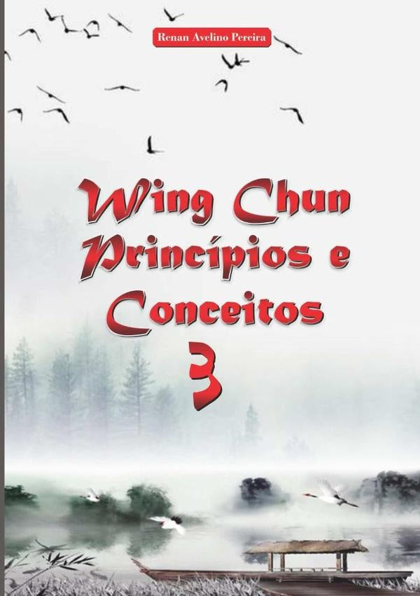 Wing Chun Princípios E Conceitos 3 | Renan Avelino Soares Pereira