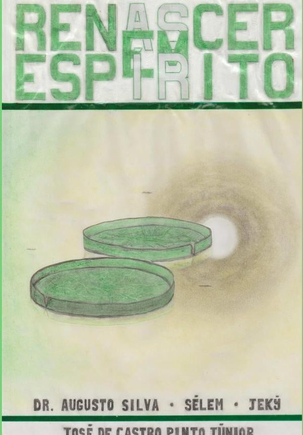 Renascer Em Espírito | José De Castro Pinto Júnior