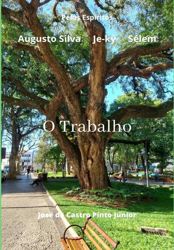O Trabalho | José De Castro Pinto Júnior