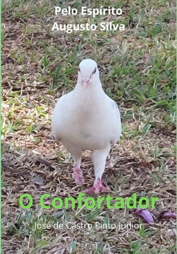 O Confortador | José De Castro Pinto Júnior