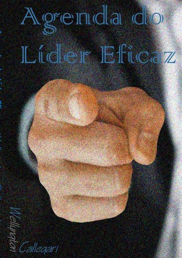 Agenda Do Líder Eficaz | Callegari, Callegari